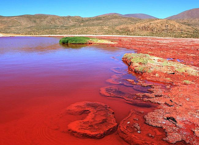 Desert Atacama