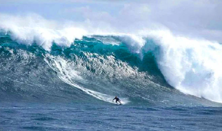 Surfer's Paradise